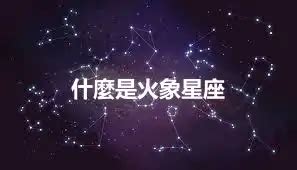 11/22是什麼星座